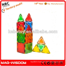 3-D Magnetic Diy Building Blocks